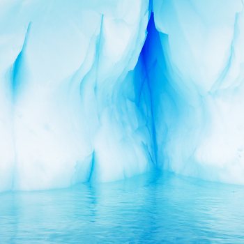 A Beautiful Silence: Ice Sculptures