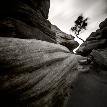 Elemental I Brimham Rocks