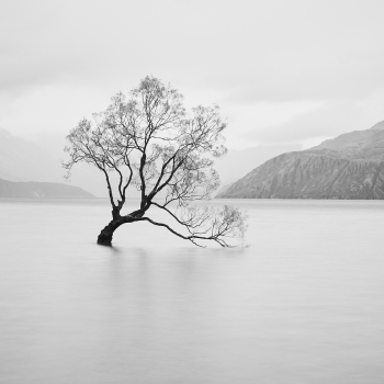 Mystical Lake Wanaka