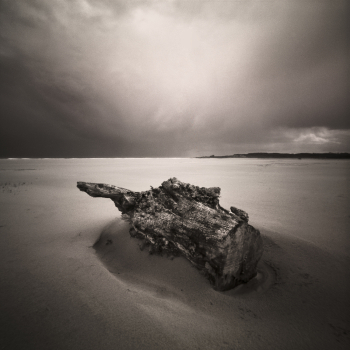 Storm Light Ross Back Sands